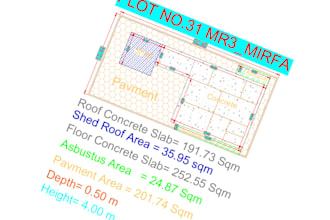 do professional pdf to autocad conversion and dwg drawings