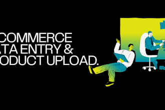 do ecommerce data entry and u