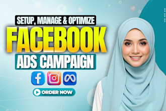 run profitable facebook ads campaing and instagram ads for sales and leads