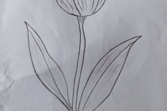 do english content writing and nature illustrations