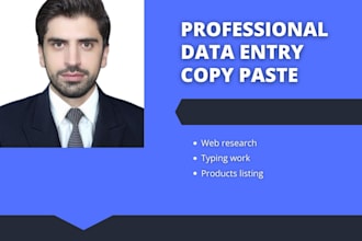 do accurate data entry, microsoft excel, google sheets and copy paste tasks