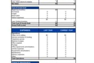 prepare financial statements, bookkeeping, and financial accounting