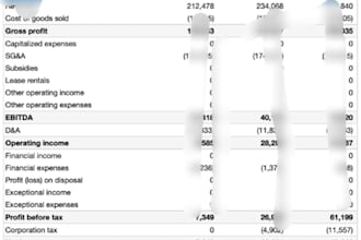 prepare financial statements, bookkeeping, and financial accounting