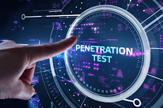 perform vapt for your website and web application