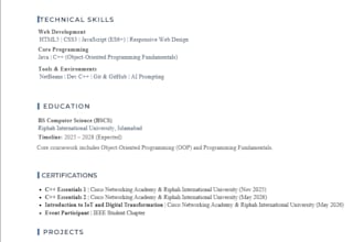be your expert front end web developer using html css js