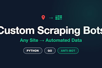 build a custom web scraping bot or data automation system