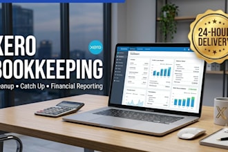 do xero bookkeeping, cleanup, catch up and financial reporting