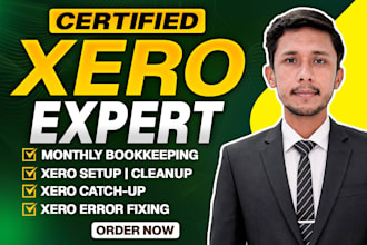 do monthly bookkeeping, cleanup, catch up, and reporting in xero, qbo and excel