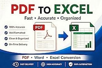 clean, format , and organize excel data professionally