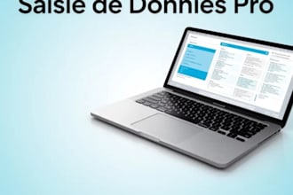 saisie de données pro 200lignes par heur