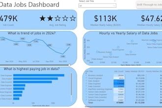 build a professional interactive power bi dashboard as a data analyst