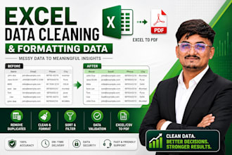 clean, format, organize, and fix your excel or CSV data professionally
