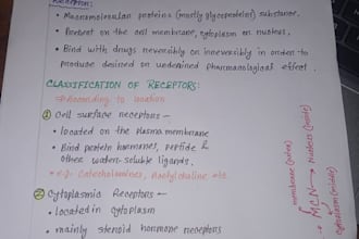 write anything with beautiful handwriting