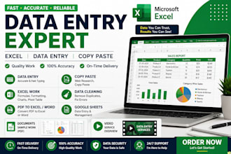 microsoft excel data entry, data cleaning, copy paste,