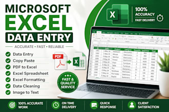 do microsoft excel data entry, copy paste, PDF to excel and spreadsheet task