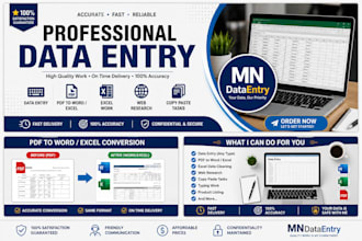 do accurate data entry copy paste excel data entry