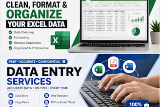 do expert data entry and excel data cleaning