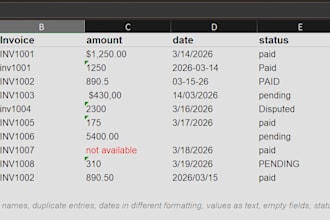 clean your excel datasets and reports