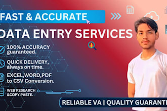 do fast data entry, web scraping, excel and google sheets