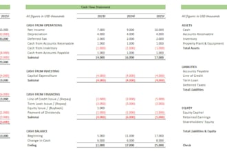 build a professional 3 statement financial model