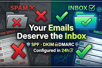 business email setup plus spf dkim dmarc