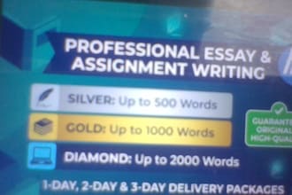 do professional essay writing
