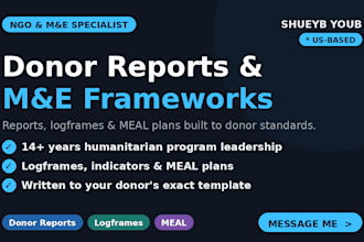 write your ngo donor report, logframe, or meal framework