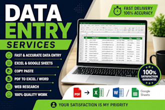 do accurate data entry, copy paste, excel and web research