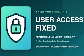 fix salesforce permissions and record access issues
