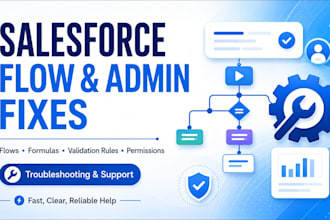 fix salesforce flow and admin issues