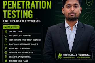 perform web application penetration testing