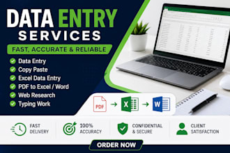 do accurate data entry, copy paste, excel and word tasks