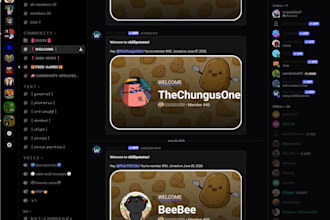 create a professional custom discord server for your community