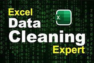 clean format and organize excel data professionally