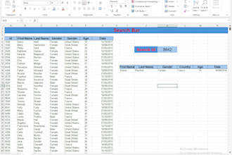 do expert excel data entry, data cleaning and copy paste work