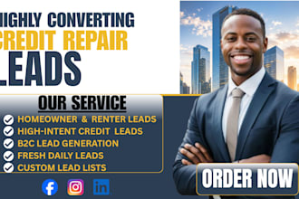deliver 600 credit repair leads using facebook ads