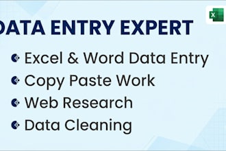 be your expert data entry and virtual assistant
