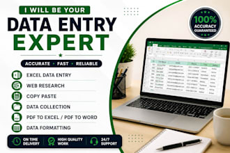 do excel data entry, web research, data collection
