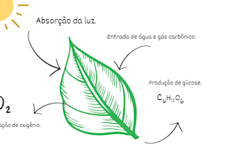 create clear , creative canva slides for effective learning