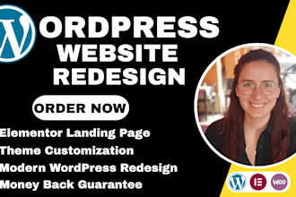 redesign and modernise your wordpress website