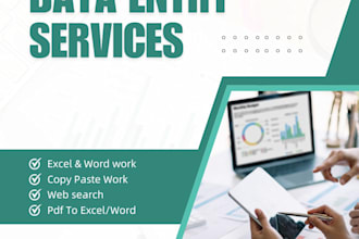 provide professional data entry and excel services