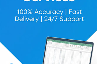 do accurate excel data entry and data cleaning