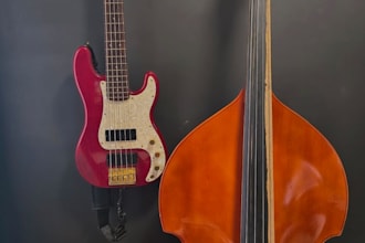 record professional electric bass or upright bass for your song