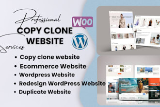 copy clone website redesign shopify store design wordpress copy clone website