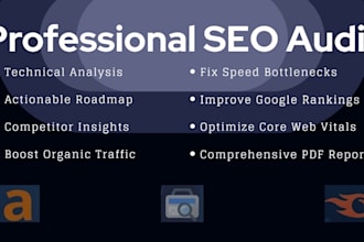 do a professional website SEO audit report and analysis
