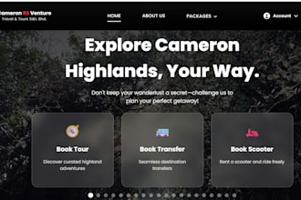 design and develop a responsive business website or landing page