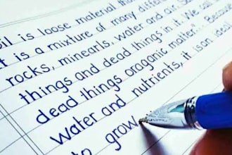 write beautiful bangla and english handwritten notes, letters and document