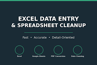 do accurate excel data entry and spreadsheet cleanup