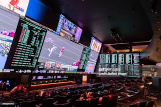 analyze, review and test bookmakers and sportsbooks as an industry inside