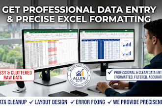 do professional data entry formating and clean up excel sheet